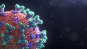 What You Should Know About Covid-19