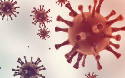 How Influenza Spreads