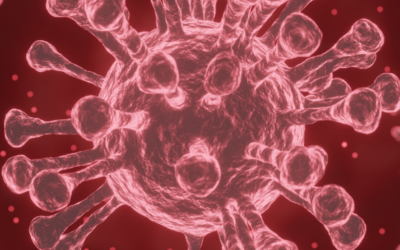 Types of Influenza Viruses