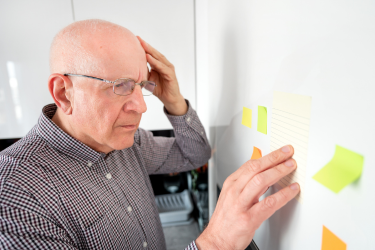 Memory, Forgetfulness, and Aging: What’s Normal and What’s Not?